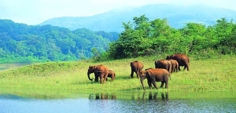 Trekking in Kodaikanal | Kodaikanal Trekking | Adventure in Kodaikanal | Tour Packages in Kodaikanal | Best Travels in Kodaikanal | Local Tour Packages in Kodaikanal | Kodaikanal Holidays | Kodaikanal Tourism |Travels in Kodaikanal | Kodaikanal Travels | Cab Rentals in Kodaikanal | Car Booking in Kodaikanal | Room Booking in Kodaikanal | Hotel Booking in Kodaikanal | Cottages in Kodaikanal | Resorts in Kodaikanal | Hotels and Resorts in Kodikanal | Camp Fire in Kodiakanal | Kodaikanal Resorts | Kodaikanal Hotels | Group Tours | Corporate Tours | Kodaikanal Package Tours | Kodaikanal sightseeing tour package| Kodaikanalk Cab Rentals | Kodiakanal Adventure | Jeep Safari in Kodaikanal | Forest Safari in Kodaikanal | Night Safari in Kodaikanal |Kodaikanal local tours|Honeymoon Packages| Honeymoon package in kodaikanal|kodaikanal Tour package | Kodaikanal Tours | Kodaikanal Sightseeing | Kodaikanal | Kodaikanal Hotels | Kodaikanal Budget Hotels | Kodaikanal Economy Hotels | Kodaikanal |Kodaikanal Hotels rates below 500| Budget cottages in Kodaikanal with rates | Kodaikanal Car Rental |Car Rental Kodaikanal |Taxi in Kodaikanal | Kodaikanal Taxi Service | Kodaikanal Cabs |South India Tours | Madurai Tours | Rameshwaram Tours | Kanyakumari Tours | Munnar Tours | Alleppey tours | Kerala tours | Thekkady tours